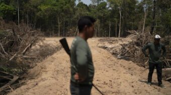 Illegal loggers rush to clear more Amazon rainforest before Lula wins election