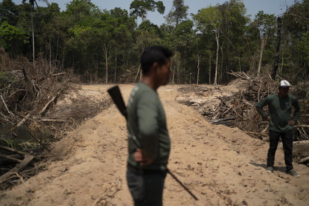 Illegal loggers rush to clear more Amazon rainforest before Lula wins election