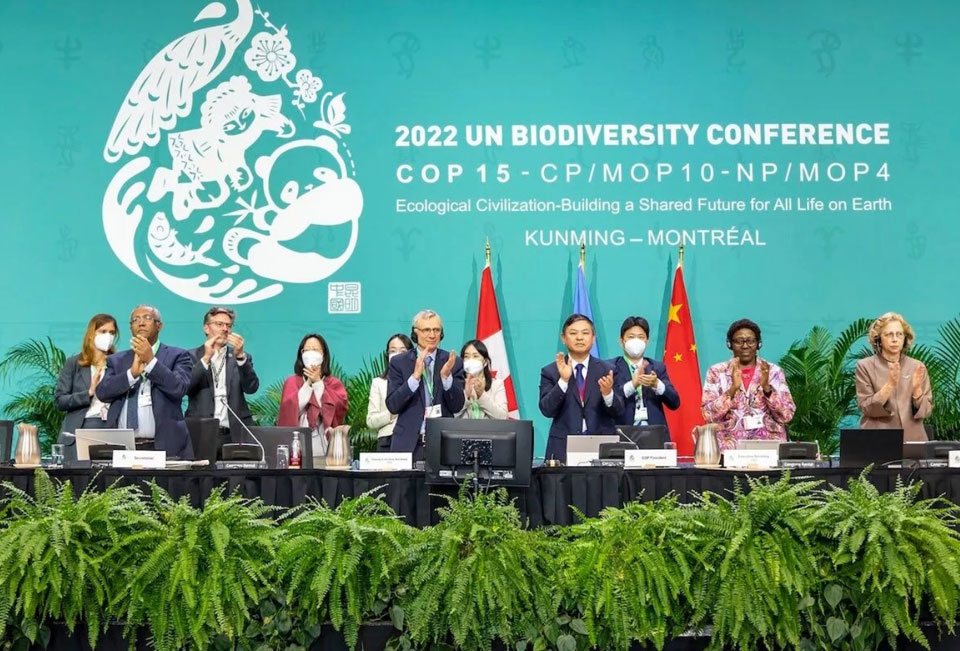 High stakes biodiversity summit ends with agreement to protect 30 percent of nature by 2030