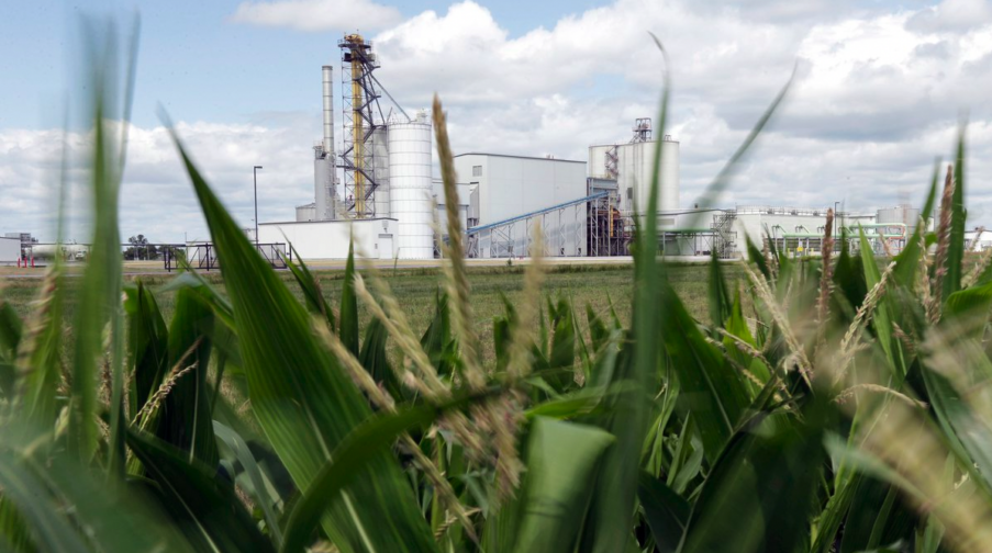 Carbon capture pipelines Climate solution or catastrophe waiting to