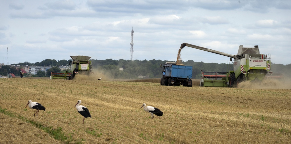 Russia cancels Ukraine grain export deal, raising fears for countries battling hunger