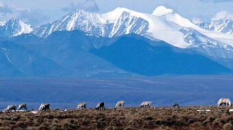 Biden admin nixes oil, gas leases in Arctic National Wildlife Refuge