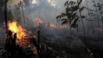 Summit held to save rainforests before they burn out of existence