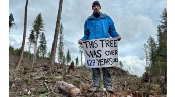 Washington State tree lovers celebrate forest preservation victories