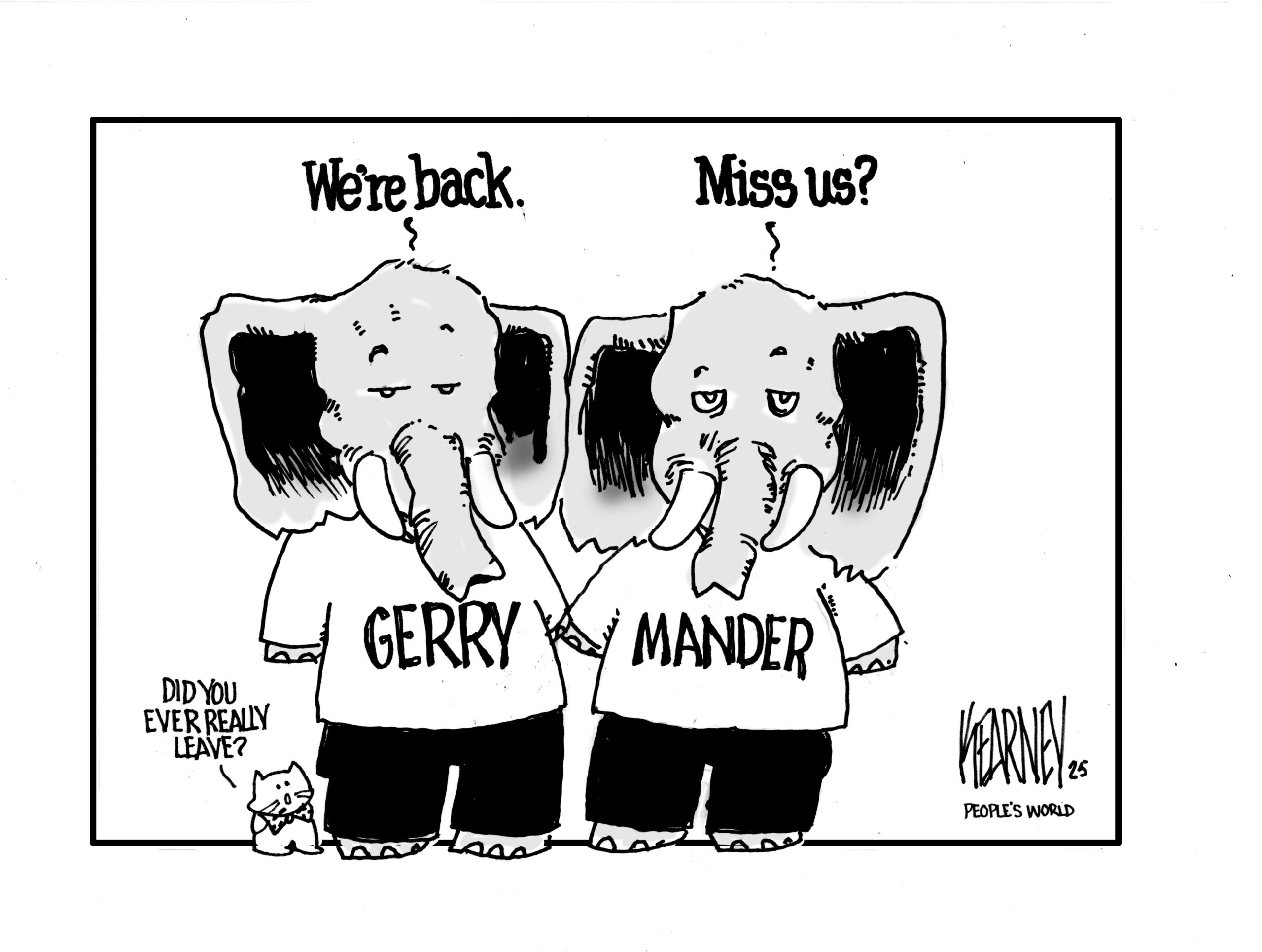 Gerrymandering run amock