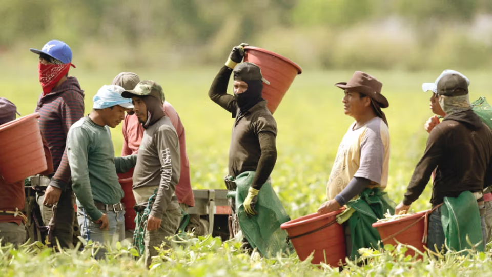 She suffers for life after 20 years under the sun