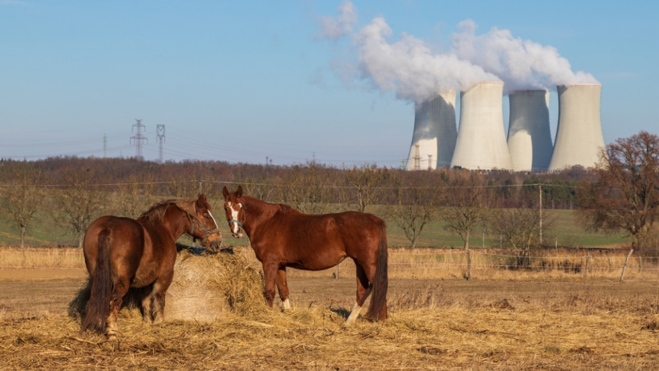 AI is a dangerous billionaire boondoggle