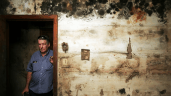 A hotter, wetter South is becoming a breeding ground for mold