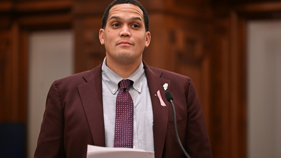 Israeli war backers making push in Illinois House race