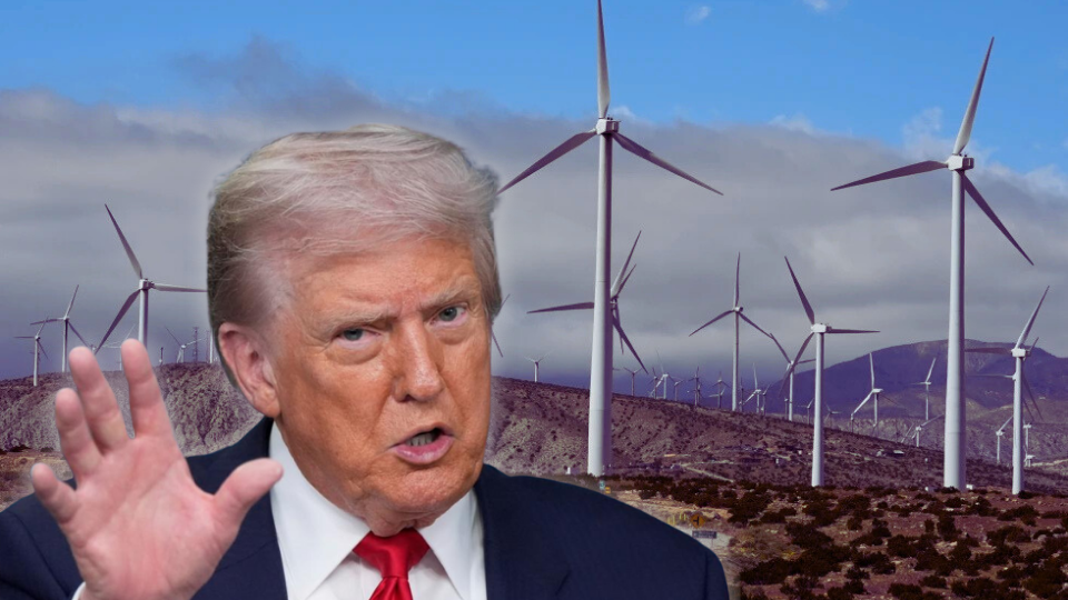 Trump suffers another defeat in his war on renewable energy