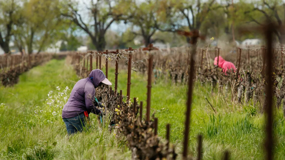 Farm Workers to march on federal courthouse protesting Trump’s wage cuts