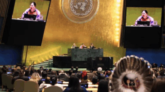 Indigenous land defenders are being killed, and AI is scraping their knowledge