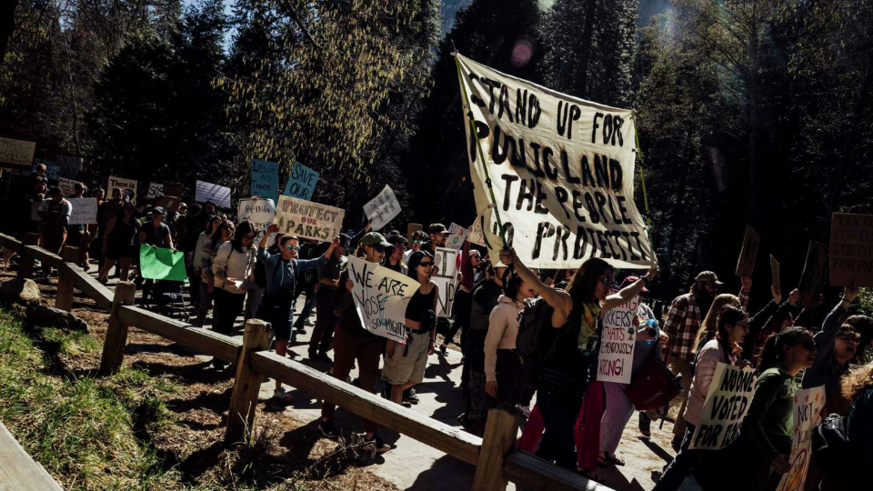 This land is not your land