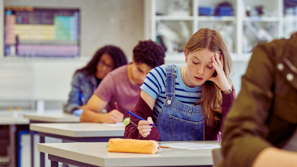 Harvard imposes cap on ‘A’ grades, progressive educators differ on road forward