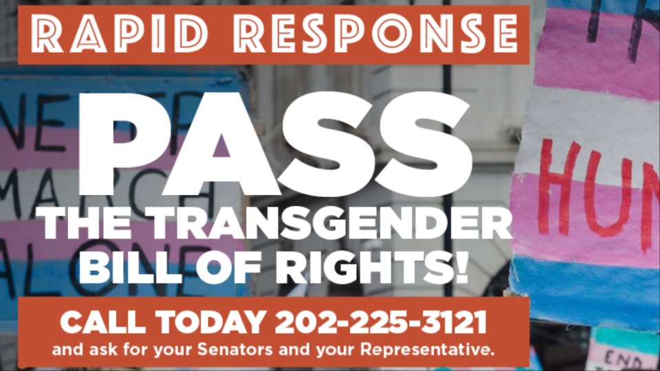 Rapid Response: Pass the Transgender Bill of Rights