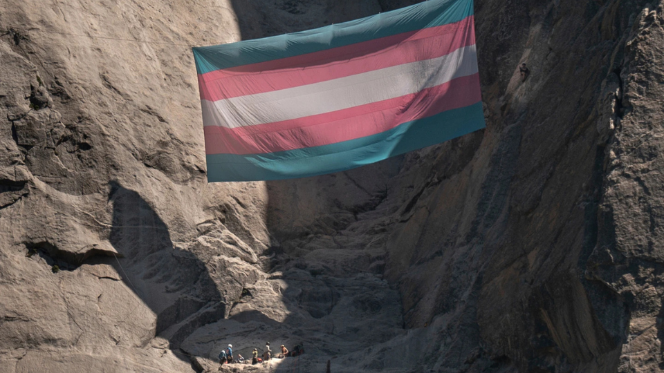 Trans flag forest ranger’s lawsuit against Trump termination dismissed