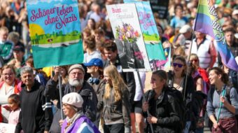 The resistible rise of a fascist party in Germany